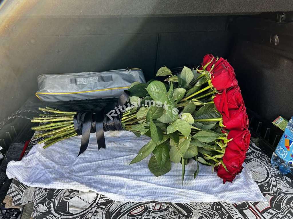 Роза бордовая сортовая в полуроспуске, очищенная 70 см.